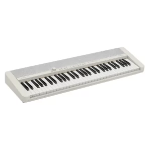 Casio CT-S1WE 61 Tuşlu Beyaz Org