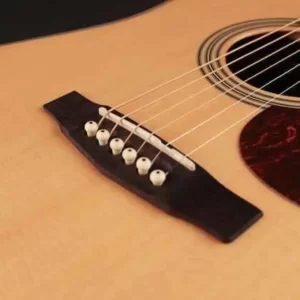 Cort EARTH100NS Akustik Gitar Naturel Satin