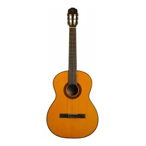 Takamine GC1 NAT Klasik Gitar